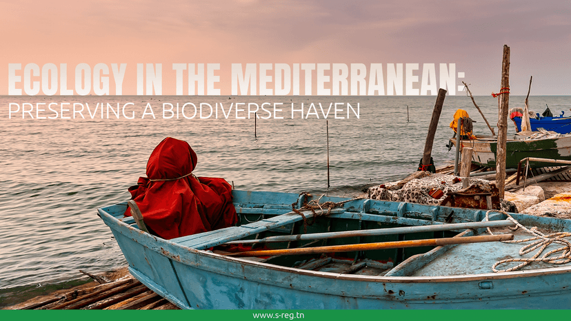 Ecology in the Mediterranean: Preserving a Biodiverse Haven